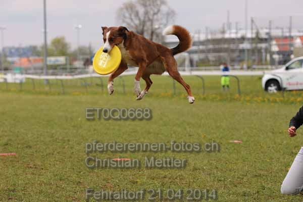 ET0Q0668 prot
